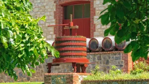Uncork the Barossa Valley
